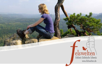  Responsive Template